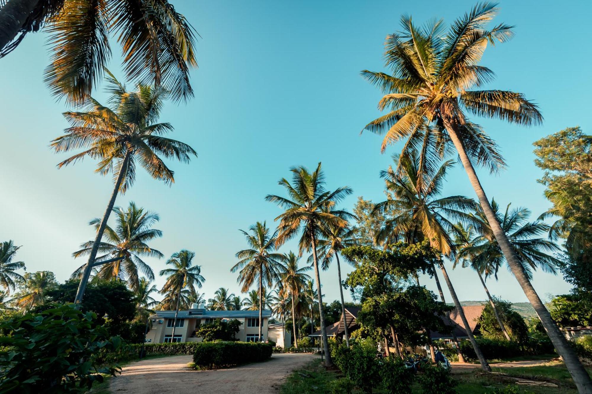 Commune18 Spa Resorts Chikmagalūr Eksteriør bilde